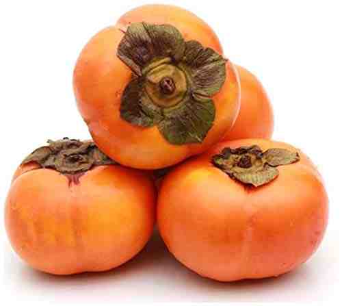 Persimmon